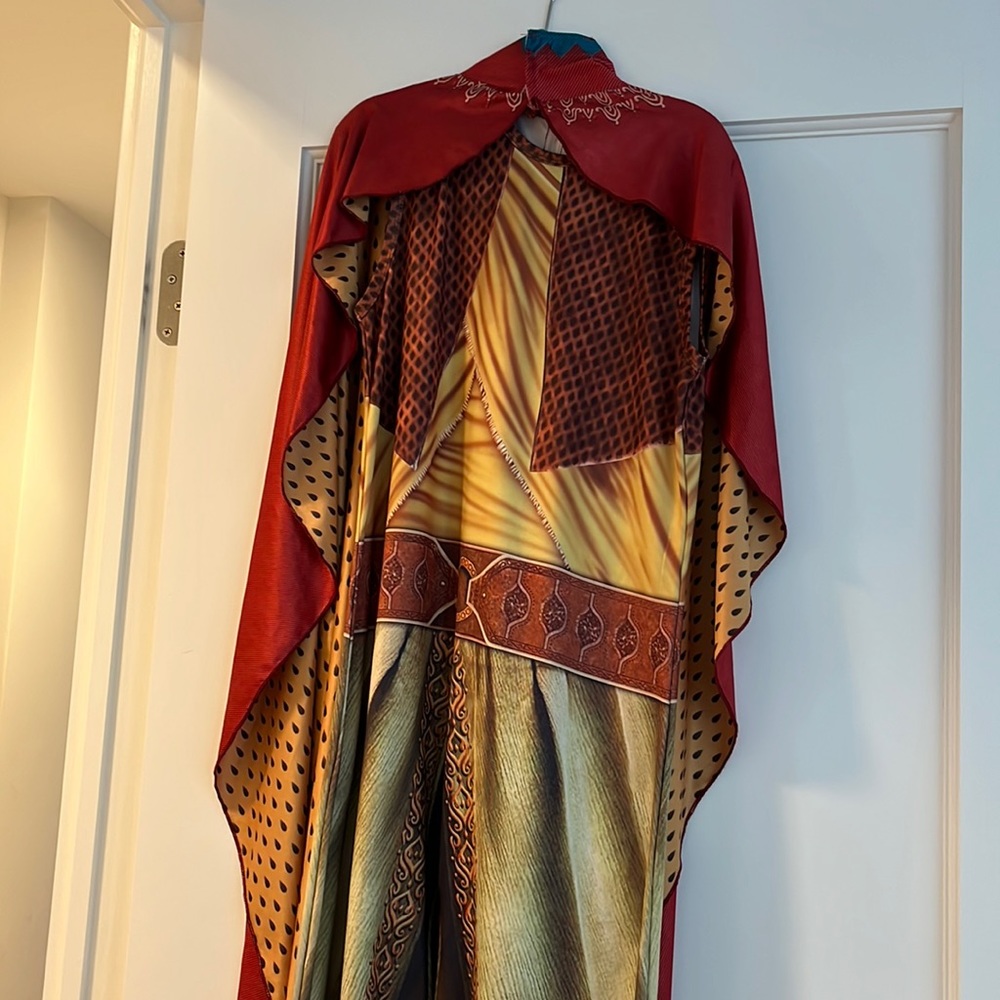 Girls Size 12 Zhi Xuan tong Ray and the Last Dragon Costume